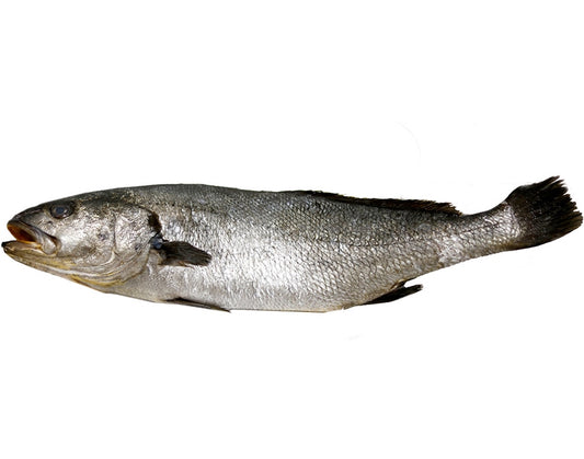Corvina Preta Kg